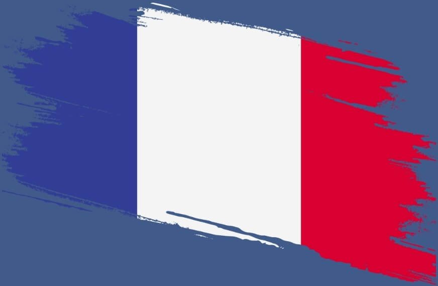 France 1- Talent Loom